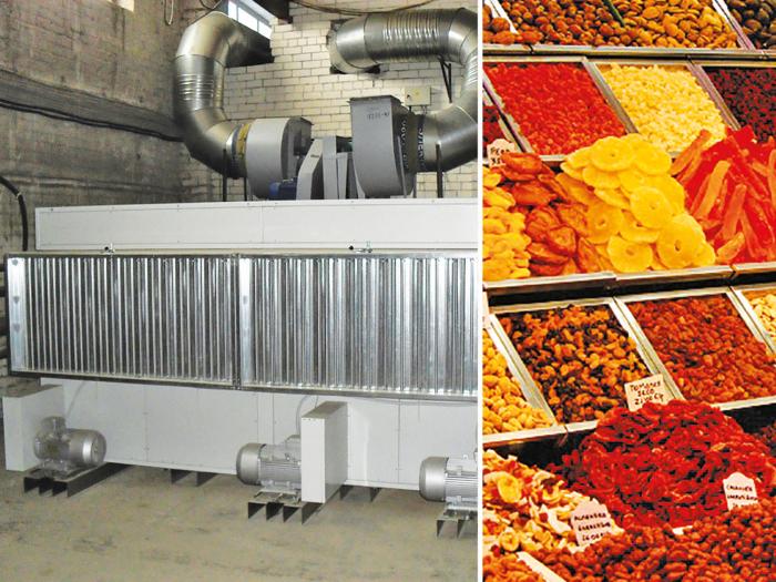 ENERGY in fruits and vegetables drying process Tecnoclima