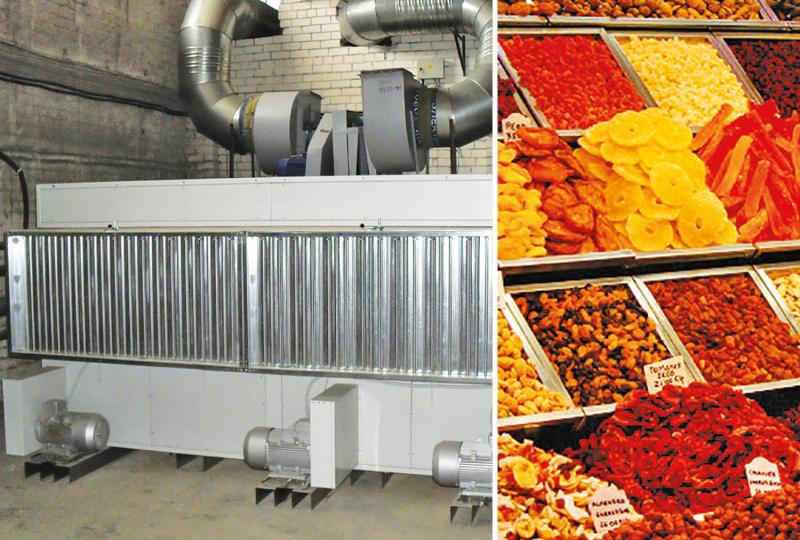 ENERGY in fruits and vegetables drying process Tecnoclima
