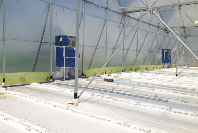 TC-DF for heating of greenhouses Tecnoclima